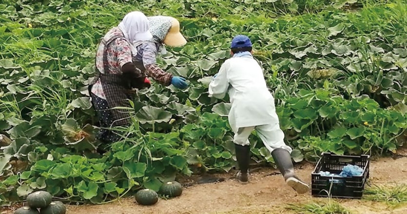 農福連携”で、あらゆる村民に居場所とやりがいを。｜ジチタイワークスWEB